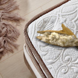 Bambi Kapok Naturel 8 Schichten Höhe 33 cm Matratze