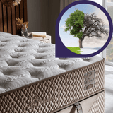 Bambi Clima Naturel Boxspringbett Schlafzimmer Set