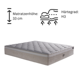 Boxspringbett mit Matratze Polsterbett Stauraumbett Betkasten inkl. Lieferung Amore