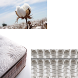 Bambi | Cotton Master Matratzen H3