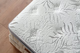 Bambi | Cotton Master Matratzen H3